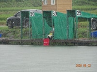 오빈낚시터 유료낚시터 > ****주중 조황정보 및 방류소식 전합니다**** : 낚시사랑