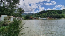 즐거운복상골 유료낚시터 > 가을 느낌~~ : 낚시사랑