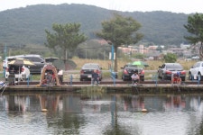 영종낚시터(구만정낚시터) 유료낚시터 > 만석~영종터! 입질도 가득, 손맛도 가득! : 낚시사랑