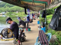 우금낚시공원 유료낚시터 > 오늘하루 휴장과 주말스케치 : 낚시사랑