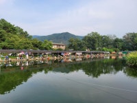 우금낚시공원 유료낚시터 > 오늘하루 휴장과 주말스케치 : 낚시사랑