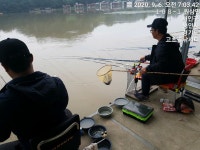 고초골낚시터 유료낚시터 > 고초골 주말 조황상황 및 어자원방류 : 낚시사랑