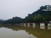 고초골낚시터 유료낚시터 > 고초골 주말 조황상황 및 어자원방류 : 낚시사랑