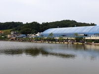 연곡낚시터 유료낚시터 > 밤만 되면 환장하고 덤빕니다~*^ : 낚시사랑