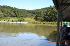 고담낚시터 유료낚시터 > 일요일 밤낚시 지렁이 대화 굿 조황입니다 . : 낚시사랑