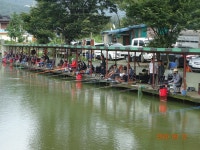 오빈낚시터 유료낚시터 > ***기복없이 아주 좋은조황 보이고 있습니다*** : 낚시사랑