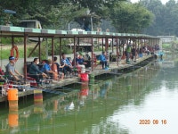 오빈낚시터 유료낚시터 > ****주중 조황정보 및 방류소식 전합니다**** : 낚시사랑