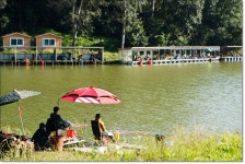 산우물낚시터 유료낚시터 > 멋진 찌올림과 당찬 손맛...풍요로움이 함께 하는곳 산우물낚시터 : 낚시사랑