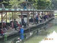 오빈낚시터 유료낚시터 > ****주중 조황정보 및 방류소식 전합니다**** : 낚시사랑