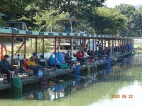 오빈낚시터 유료낚시터 > ***기복없이 아주 좋은조황 보이고 있습니다*** : 낚시사랑