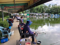 우금낚시공원 유료낚시터 > 자리편차없는 꾸준한조황 : 낚시사랑