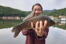 용담낚시터 유료낚시터 > 가을붕어 : 낚시사랑