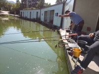 서곡 유료낚시터 > 가을 하늘이 너무너무 예쁨니다~! : 낚시사랑
