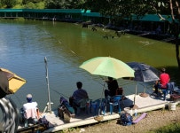 파주금곡낚시터 유료낚시터 > *대박행진* 파주 대물금곡낚시터 : 낚시사랑