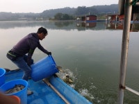 유료터정보 > 유료터점주조황 > 어망 채울 일만 남았습니다.이천 성호낚시터