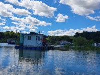 고삼 느티나무좌대 유료낚시터 > 2020년 느티나무의 가을1 : 낚시사랑