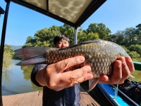 고삼 느티나무좌대 유료낚시터 > 2020년 느티나무의 가을1 : 낚시사랑