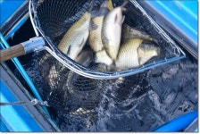 산우물낚시터 유료터정보 > 멋진 찌올림과 당찬 손맛...풍요로움이 함께 하는곳 산우물낚시터  : 낚시사랑