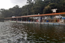 신선지 유료낚시터 > 강화 신선낚시터 10/5일 조황정보 : 낚시사랑