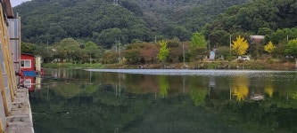 양평수곡낚시터 유료낚시터 > 10월 둘째주 힐링 수곡낚시터 주초 조황 및 붕어 방류 안내 : 낚시사랑