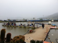 연곡낚시터 유료낚시터 > 조황요??? 1.2인 방갈로 히터 설비 중~!! : 낚시사랑