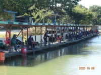 오빈낚시터 유료낚시터 > ***기복없이 아주 좋은조황 보이고 있습니다*** : 낚시사랑