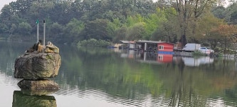 양평수곡낚시터 유료낚시터 > 월요일 1012 수곡낚시터 호조황 포함 조과 및 오늘 붕어방류 완료 : 낚시사랑