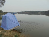 유료터정보 > 유료터점주조황 > 어망 전송사진으로 조황정보