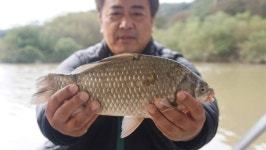 용설지 유료낚시터 > 자동빵으로 낚은 월척 : 낚시사랑