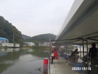 아산신수 유료낚시터 > 아산신수지 10월 셋째 주말 화보입니다.^^ : 낚시사랑
