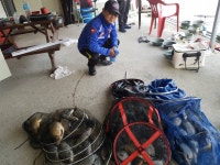 요덕골 유료낚시터 > 춥다이./... : 낚시사랑