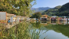 즐거운복상골 유료낚시터 > 물들어 갑니다~~~ : 낚시사랑