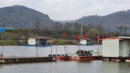 삼성지낚시터 유료낚시터 > 보고싶은 얼굴 : 낚시사랑