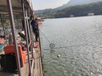 유료터정보 > 유료터점주조황 > 아산 산들낚시터의 11월첫날에 올리는 주말 모습입니다.