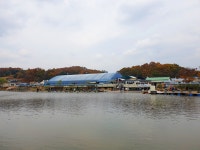 연곡낚시터 유료낚시터 > 조황 좋아요~&오짜붕어, 가을풍경~ : 낚시사랑