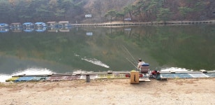 명암낚시터 유료낚시터 > [~11/06] 제천명암낚시터 조황. 송어가 좋습니다. : 낚시사랑