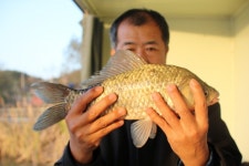 내동지 유료낚시터 > *** 주간4짜왕 동률 *** : 낚시사랑