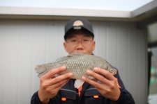 내동지 유료낚시터 > *** 주간4짜왕 동률 *** : 낚시사랑