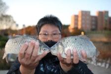 내동지 유료낚시터 > *** 주간4짜왕 동률 *** : 낚시사랑