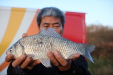 내동지 유료낚시터 > *** 주간4짜왕 동률 *** : 낚시사랑