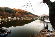 도장골낚시터 유료낚시터 > 송어,향어 무제한 방출 : 낚시사랑