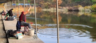 당골낚시터 유료낚시터 > ~~~조황정보~~~ : 낚시사랑