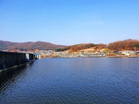 연곡낚시터 유료낚시터 > 숨 막힐 듯한 찌올림, 밤조황 대박~ : 낚시사랑