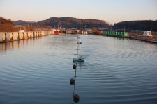 내동지 유료낚시터 > *** 조황과 대물 방류 *** : 낚시사랑
