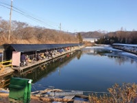 삼하낚시터 유료터정보 > 대호만붕어방류합니다 : 낚시사랑