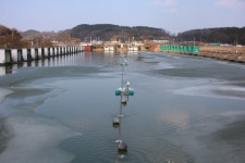 내동지 유료낚시터 > *** 3톤 방류 *** : 낚시사랑