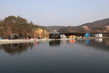 마둔지기 유료낚시터 > 아이들이 더 좋아 하네요! - 마둔낙시터 빙어 낚시 : 낚시사랑