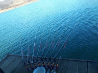 조황조행기 > 충주호조황속보 > 충주호 제일낚시터 조황정보 2020_12_28