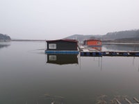 유료터정보 > 유료터점주조황 > 들어간 만큼 나옵니다.이천성호낚시터