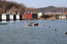 유료터정보 > 유료터점주조황 > *** 새해 빅 이벤트 ***